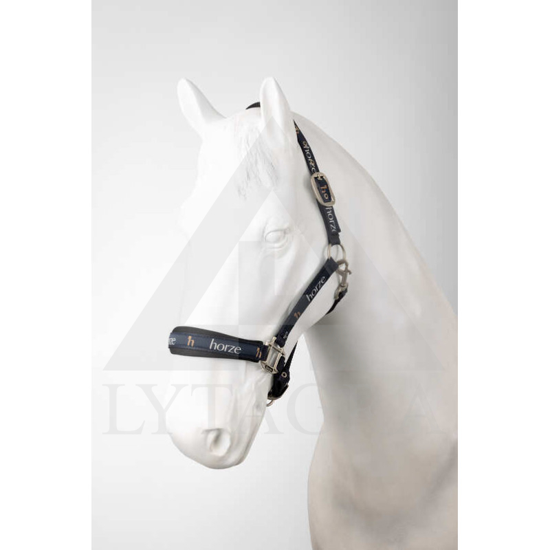 44E2V-584-00C APYNASRIS HORZE HUNTINGTON