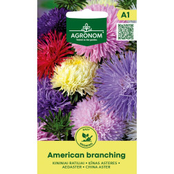 Kininiai Bijūnai American branching