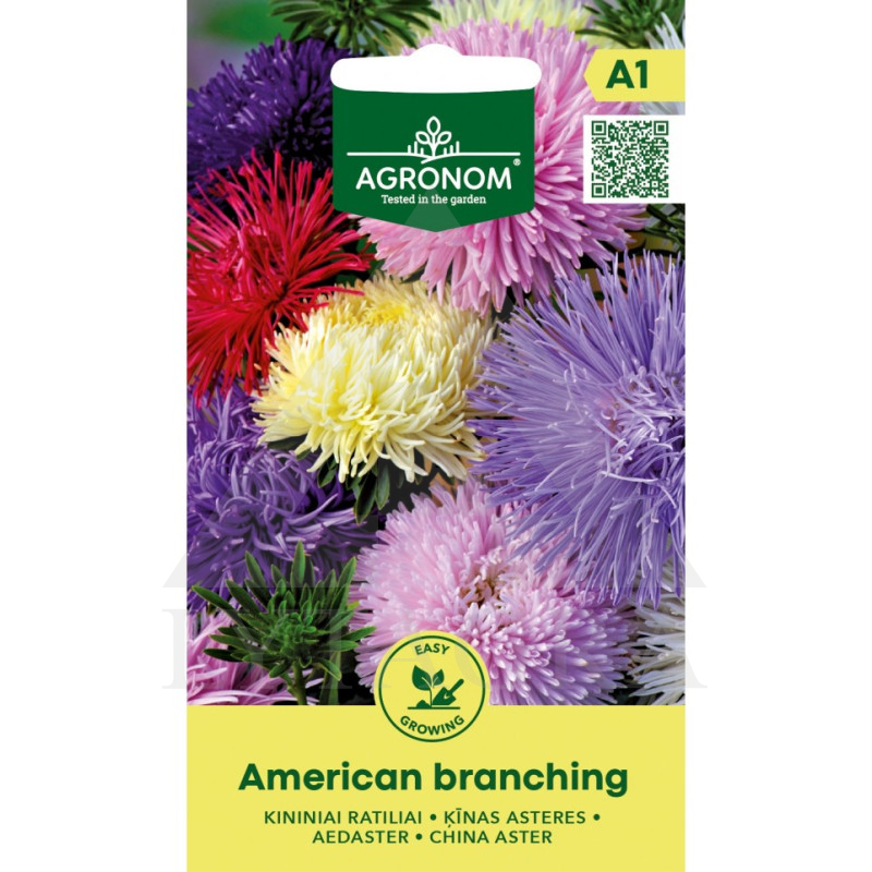 Kininiai Bijūnai American branching