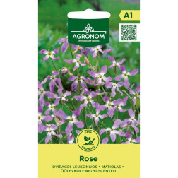 Dviragės Liaukonijos Rose Alyvinės