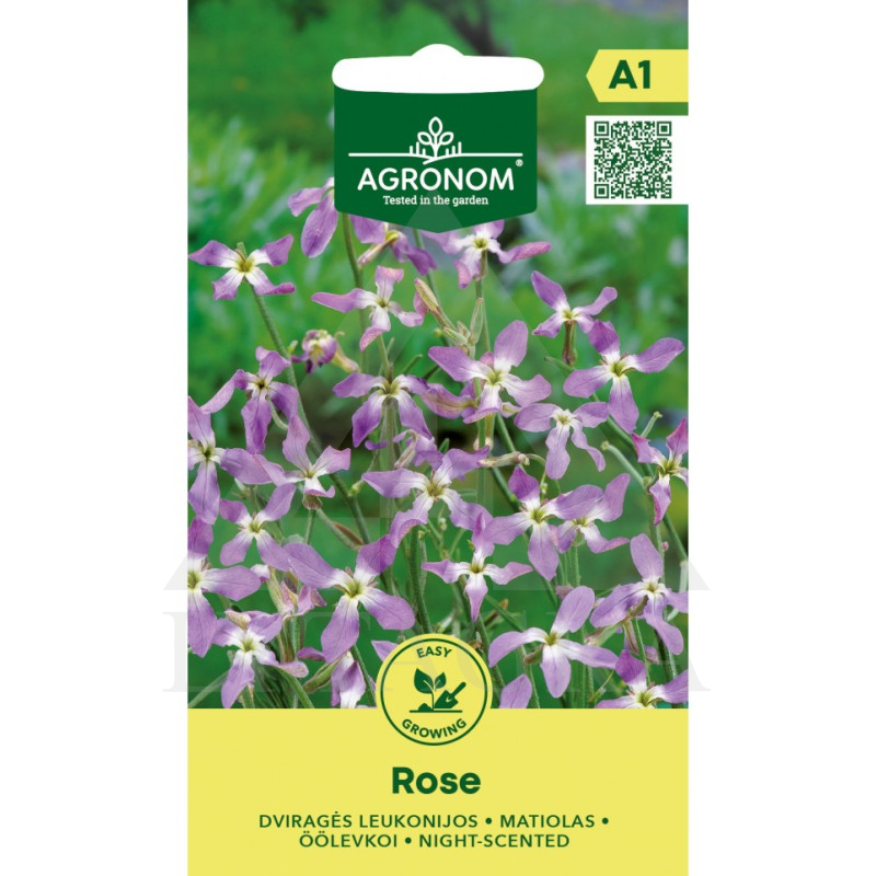 Dviragės Liaukonijos Rose Alyvinės