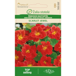 Žemosios Nasturtės Scarlet  Jewel