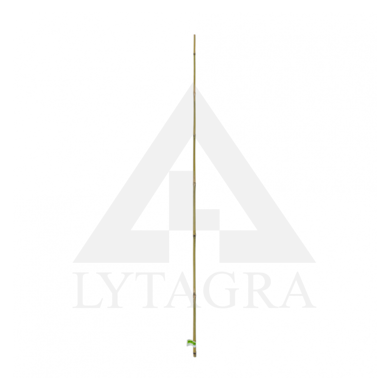 Bambukinė lazda 180CM