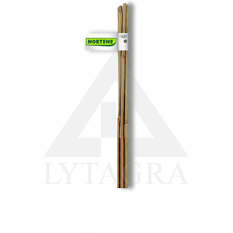 Bambukinės lazdos 150 cm 2 vnt