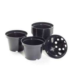 Vazonėlis daigams 10 vnt 12 cm