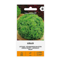 Sėjamosios salotos Lollo (Bionda)