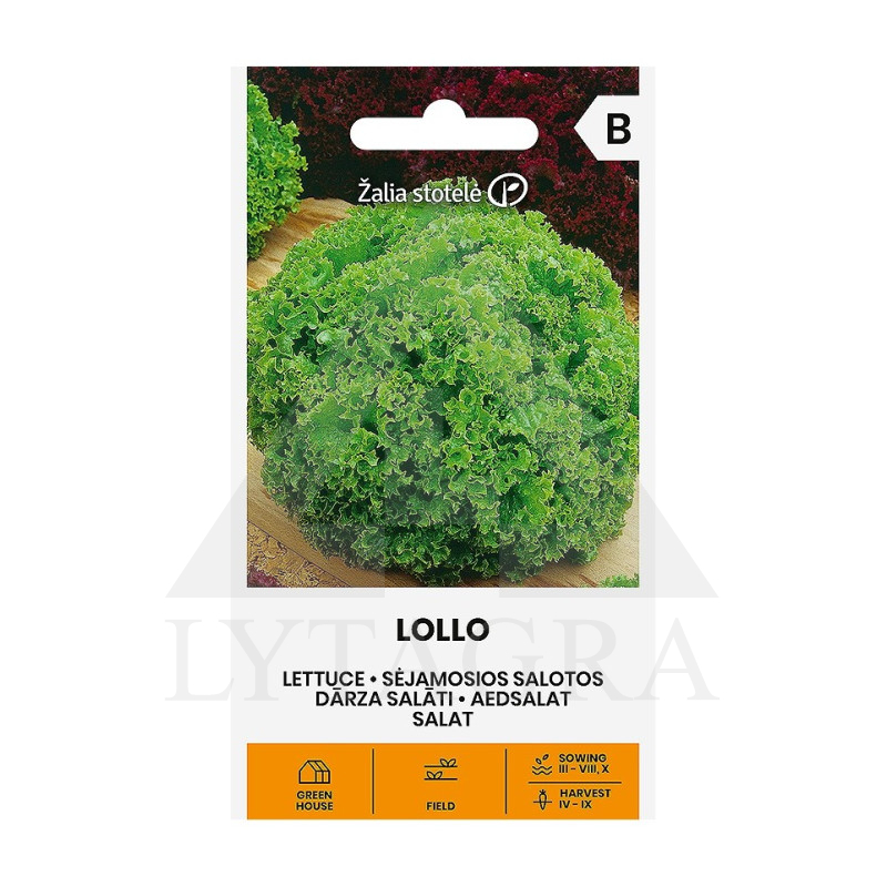 Sėjamosios salotos Lollo (Bionda)