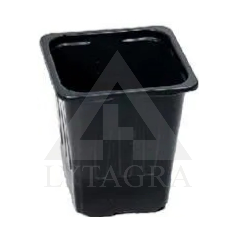 Plastikinė daigykla, 8,5 x 8,5 x 6,5 cm, 12 vnt