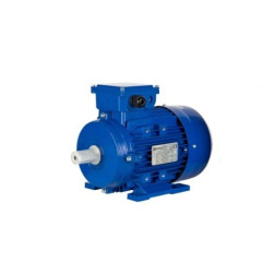 Elektros variklis 3 KW 1400 aps/min 3F padinis IEC