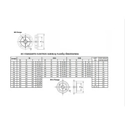 Elektros variklio flanšas B5 200 mm