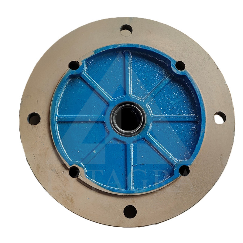 Elektros variklio flanšas B5 250 mm