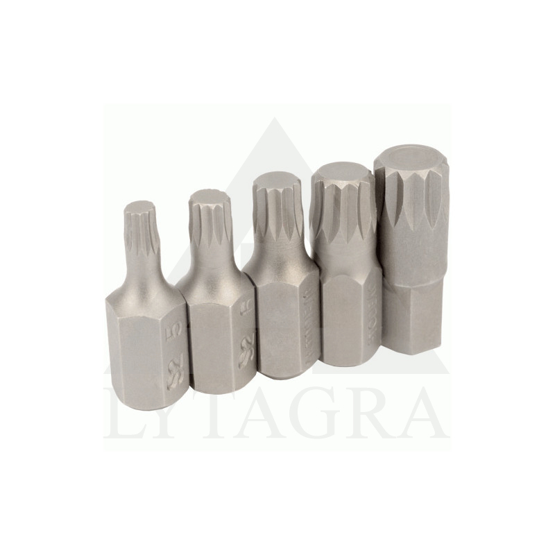 SPLINE ANTGALIŲ RINKINYS 12  6VNT 30MM 40634