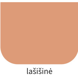 Dažai RILAK PENTAPRIM lašišiniai  900 ml. Dažai RILAK PENTAPRIM lašišiniai  900 ml.