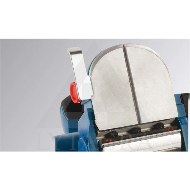 Elektrinis oblius HYUNDAI P 700-82 (P700-82) 650W