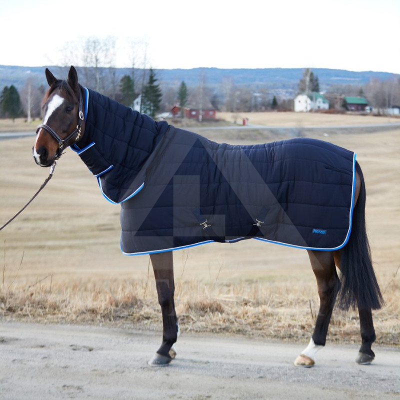 24308-DB-145 UŽDANGALAS SU KAKLU