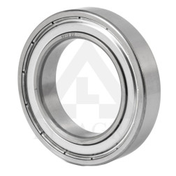 6010 ZZ TIMKEN GUOLIS