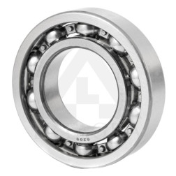 6209/209 GUOLIS TIMKEN