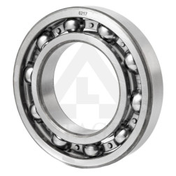 6217 TIMKEN GUOLIS