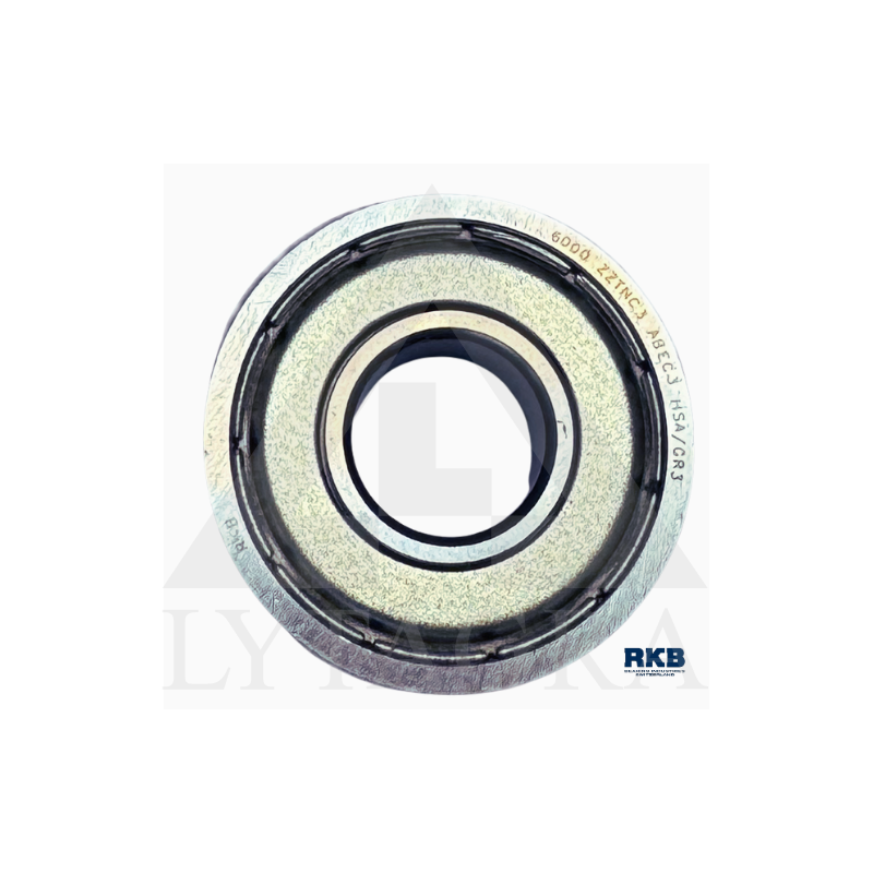 6000/80100 ZZ GUOLIS RKB
