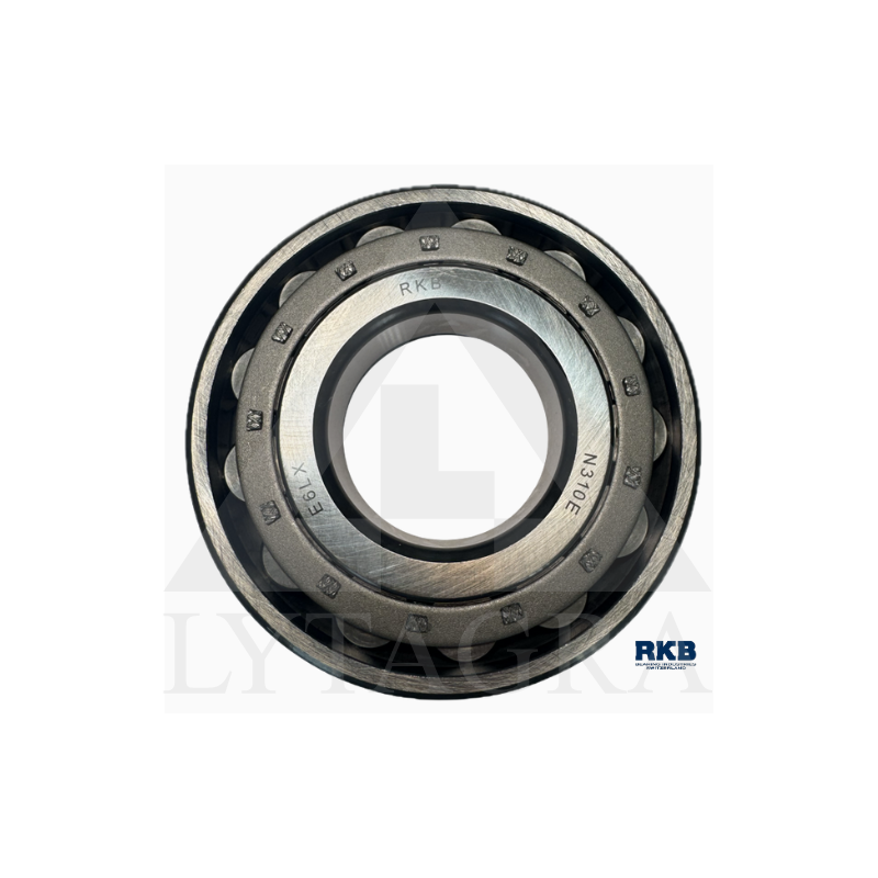 Guolis 2310 / N310 J RKB
