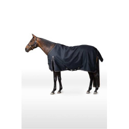 X2Y8W-594-165 HORZE UŽDANGALAS GLASGOW