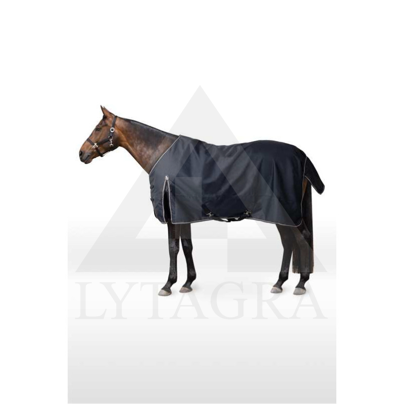 X2Y8W-594-165 HORZE UŽDANGALAS GLASGOW