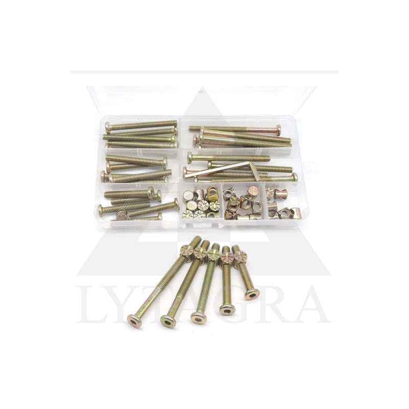 SCN50 CILINDRO TIPO VARŽTŲ RINKINYS SU HEX GALVUTE 50VNT