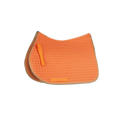 17343-CGO-F HORZE ADEPTO POBALNIS