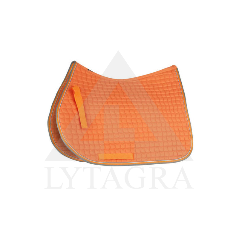 17343-CGO-F HORZE ADEPTO POBALNIS