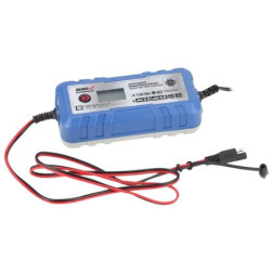 Akumuliatoriaus įkroviklis /  DEPM019LFP Dedra