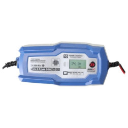 Mikroprocesorinis akumuliatoriaus įkroviklis 10A /Dedra DEPM022LFP