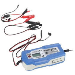 Mikroprocesorinis akumuliatoriaus įkroviklis 10A /Dedra DEPM022LFP