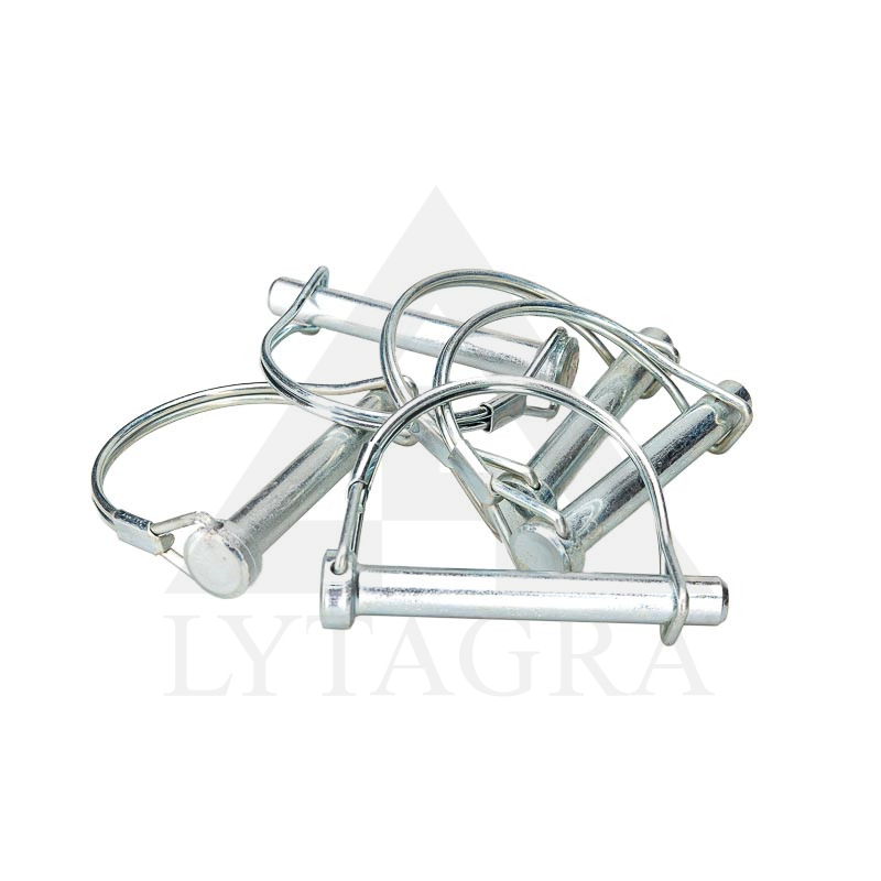 Kaištis 10x80mm 5 vnt