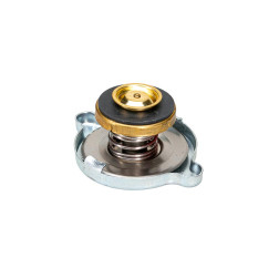 Radiatoriaus dangtelis 30/151-2