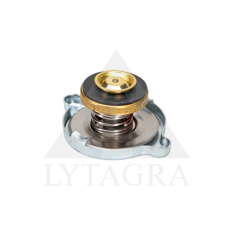 Radiatoriaus dangtelis 30/151-2