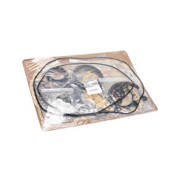 Variklio tarpinių komlpekats E3AF1 varikliui