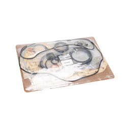 Variklio tarpinių komplektas E3AE1 varikliui