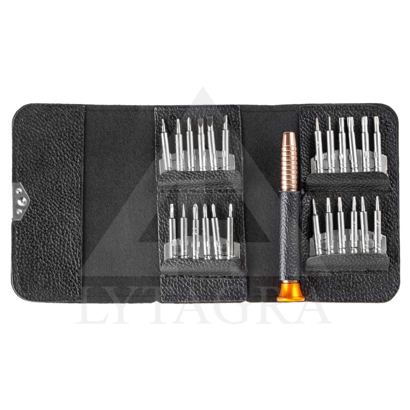 PRECIZIŠKŲ ATSUKTUVŲ RINKINYS 25VNT 02839