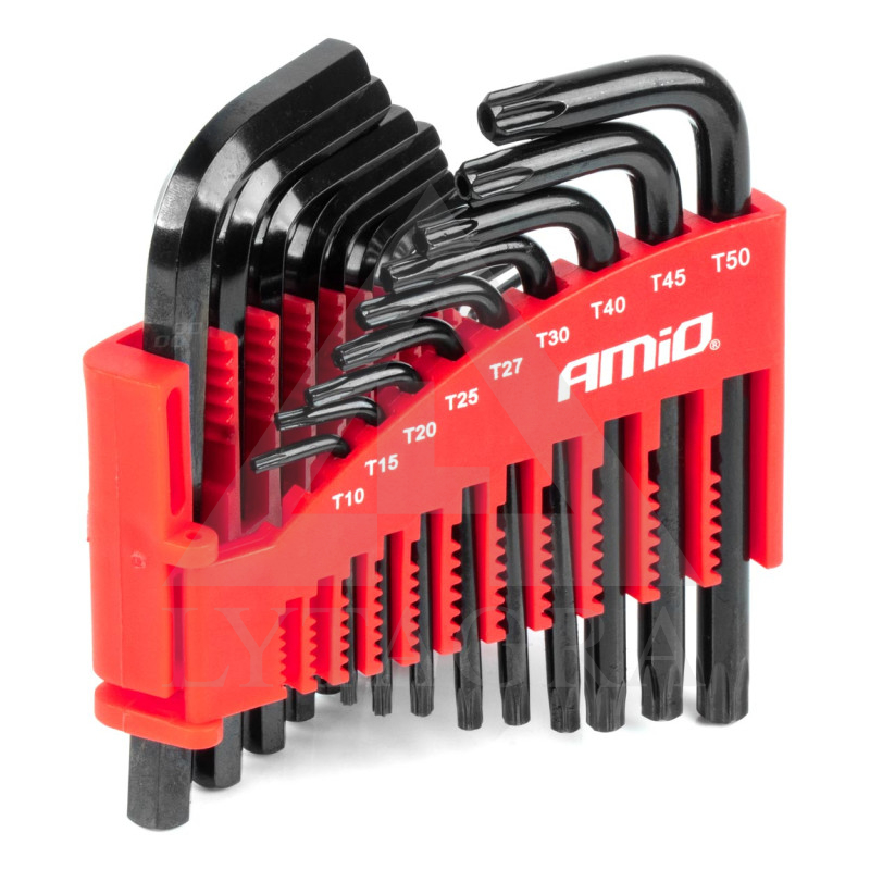 RAKTŲ RINK. 22VNT. CRV JUODI IMBUS HEX TORX 04297