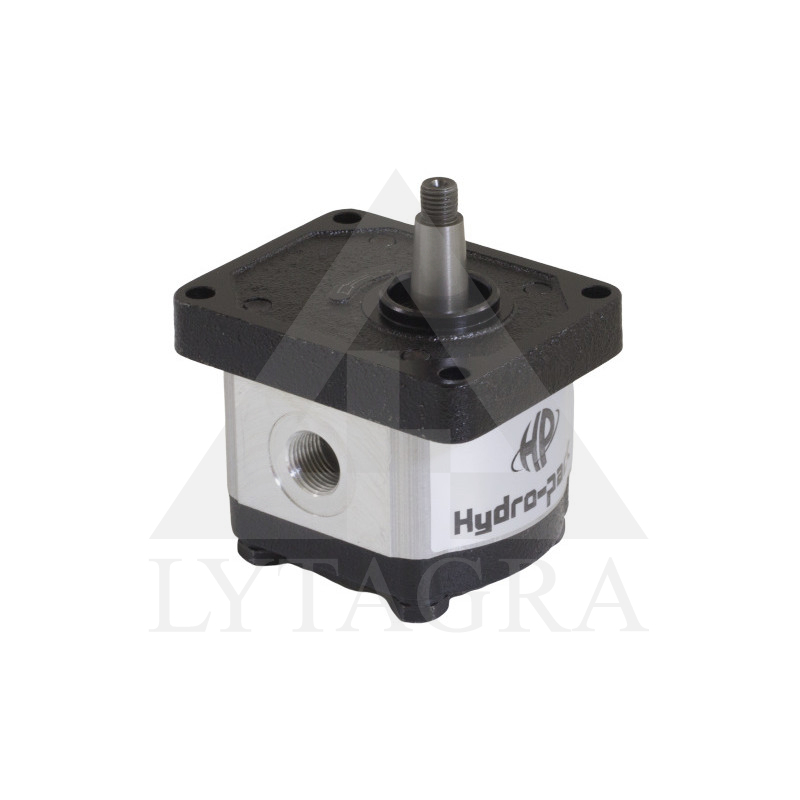 Krumpliaratinis hidraulinis siurblys 20A8.2X016GF