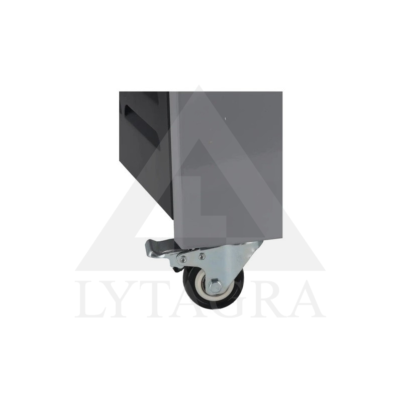 Oro sausintuvas Dedra DED9904, 1000 W 90l