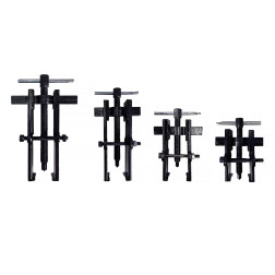 REGULIUOJAMS DVIEJŲ ATRAMŲ SKRIEMULIO NUĖMĖJŲ RINKINYS