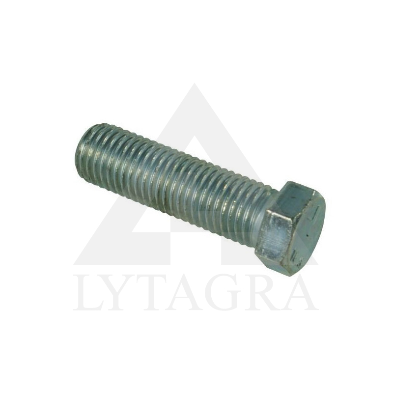 41658569300 VARŽTAS
