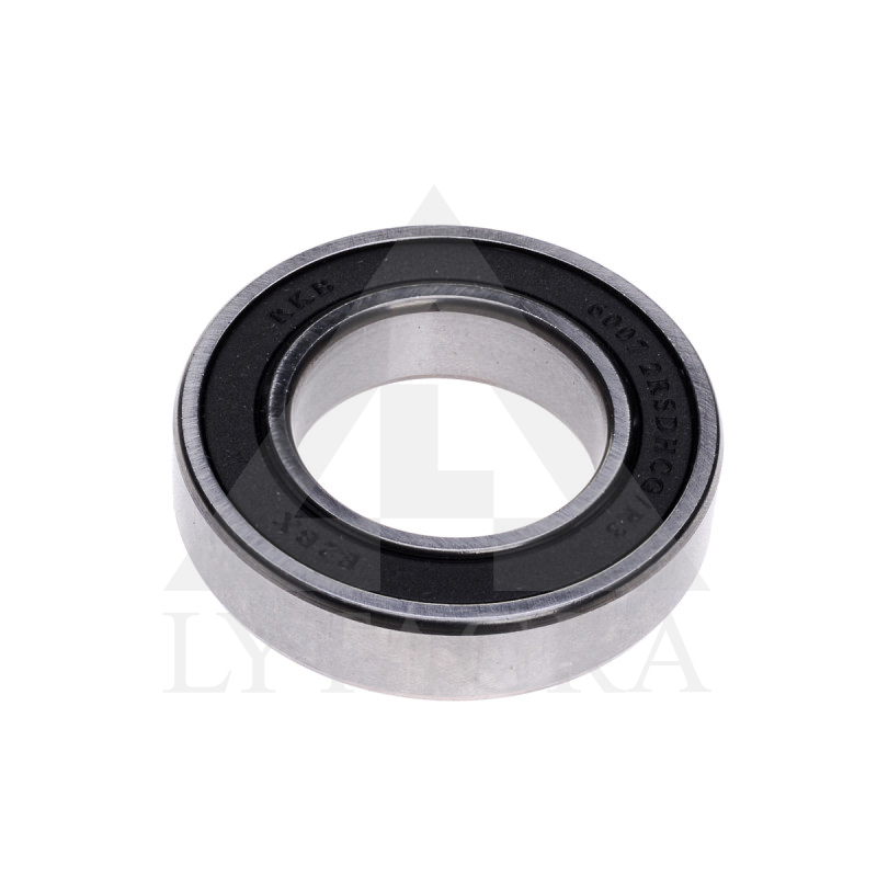 Guolis 6007 2RS