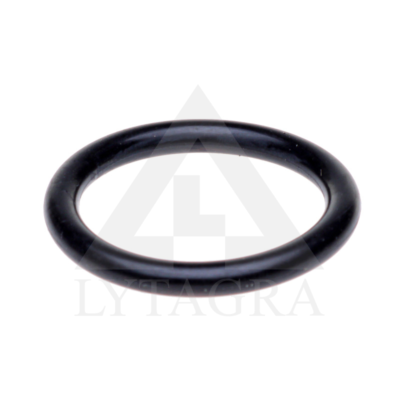 50-1601321 ZIEDAS