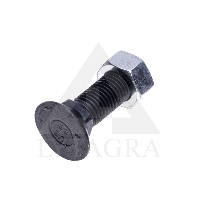 Varžtas M16x50 10.9 DIN608