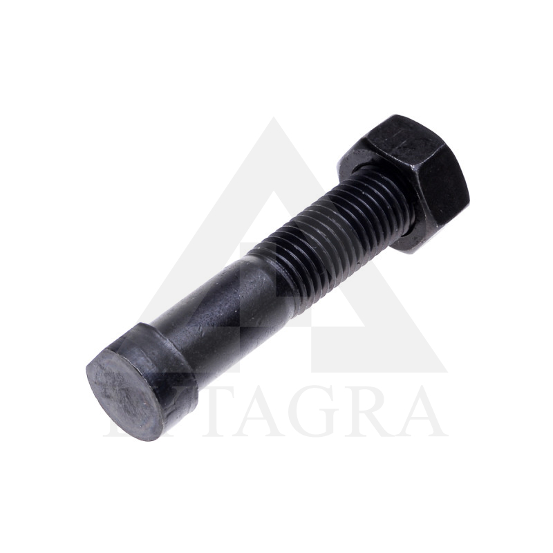 Varžtas M16x80 12.9