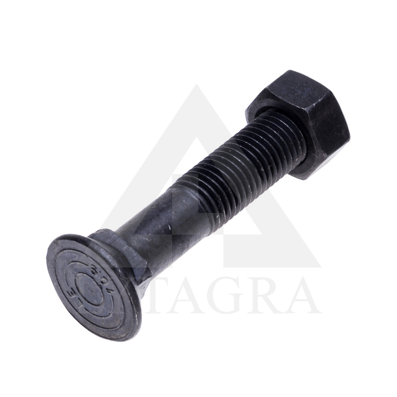 Varžtas M16x80 10.9 DIN608
