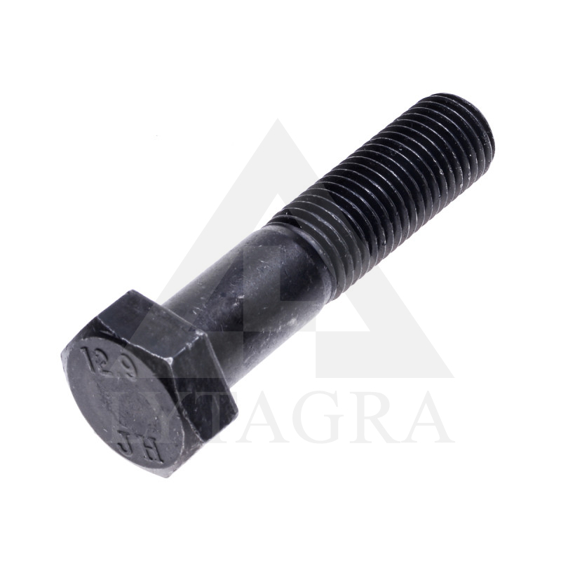 Varžtas M20x90 12.9