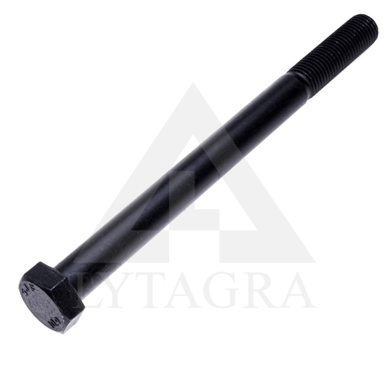 Varžtas M20x250 10.9